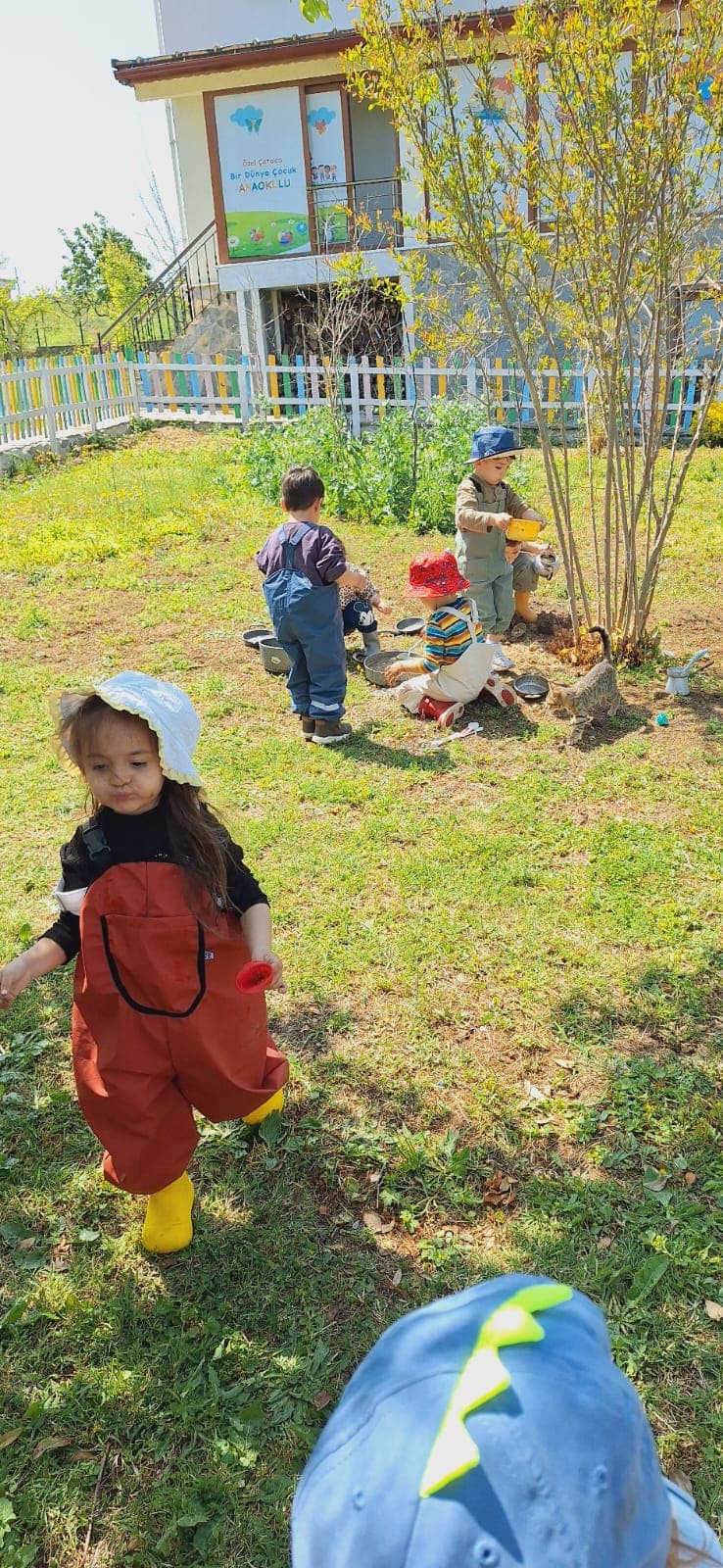 Doğa 5